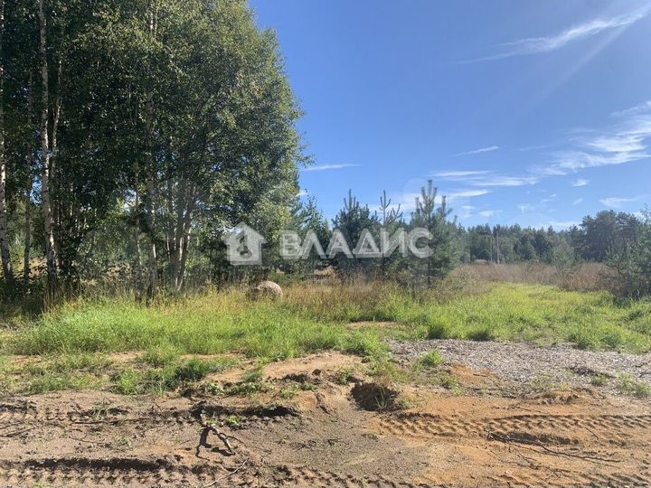 Участок 11 сот. (СНТ, ДНП)