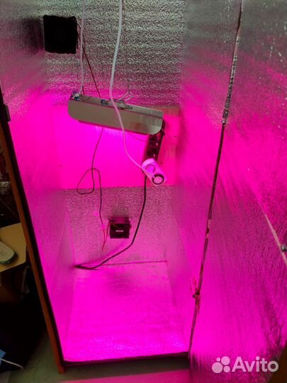 Гроубокс (новый)