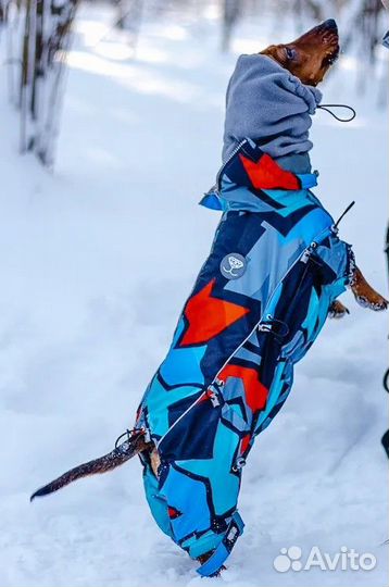 Зимний комбинезон для собаки