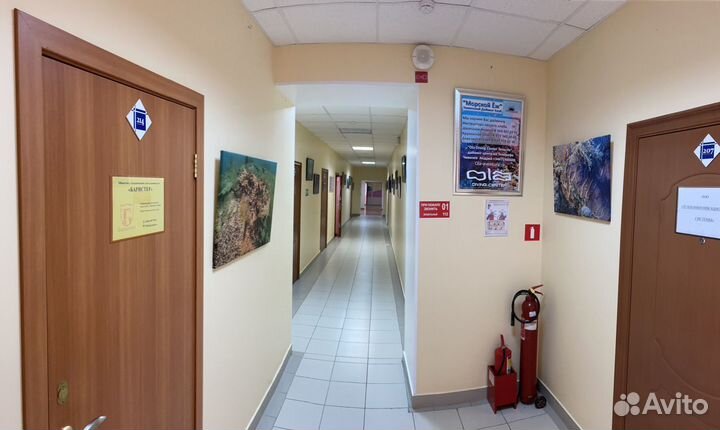 Экскурсия по Вернисажу