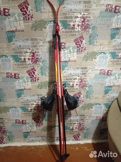 Лыжи беговые Forest