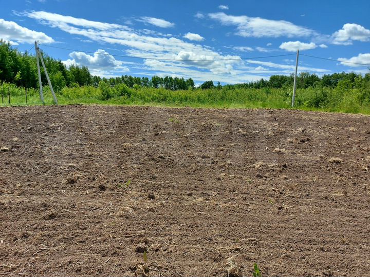 Участок 10 сот. (ИЖС)