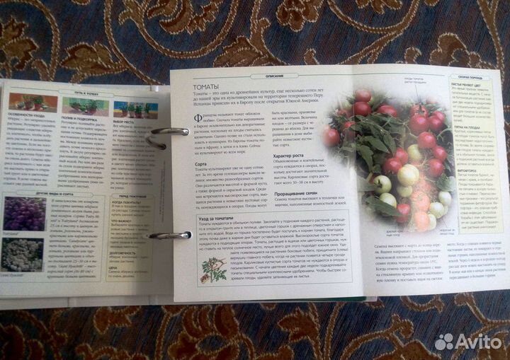 Энциклопедия