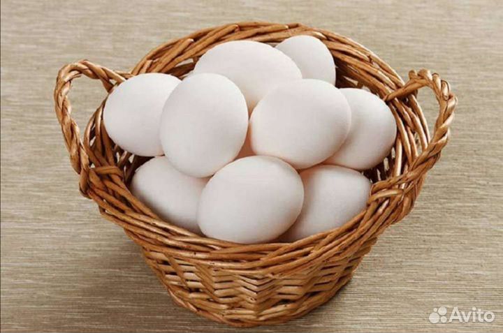 Домашние куриные яйца