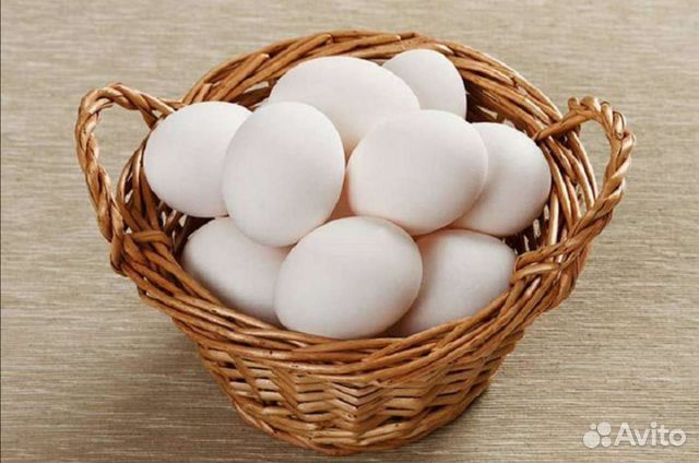Домашние куриные яйца