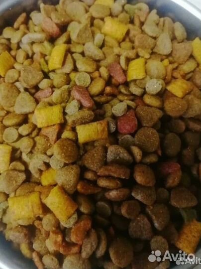 Корм для кошек