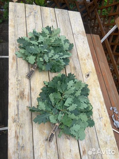 Веники для бани