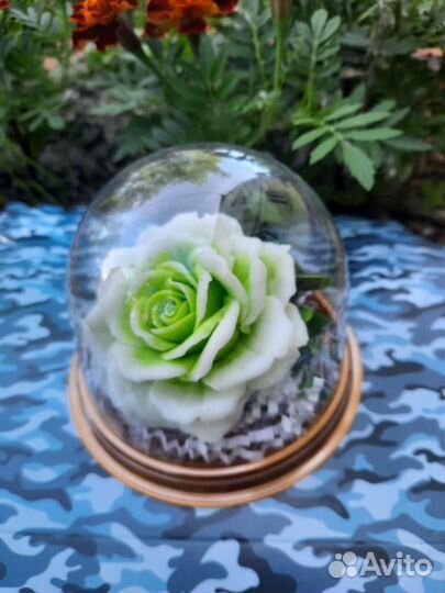 Роза в куполе