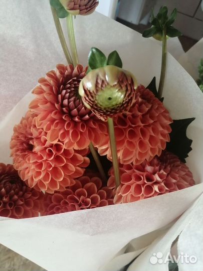 Цветы на срезку в букеты