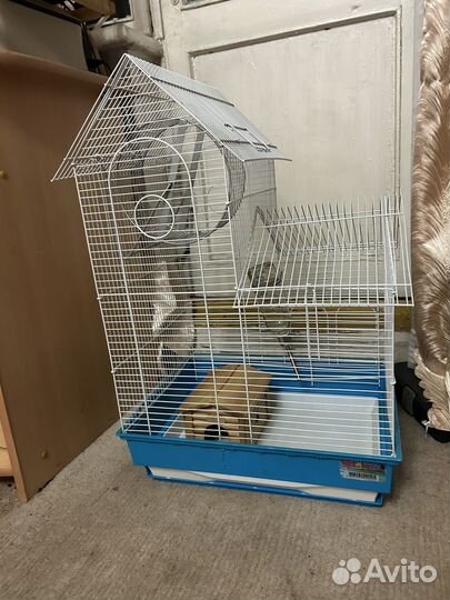 Клетка для крыс