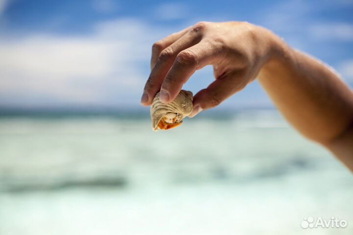 Всей семьей на Мальдивы 2 взр, 2 реб