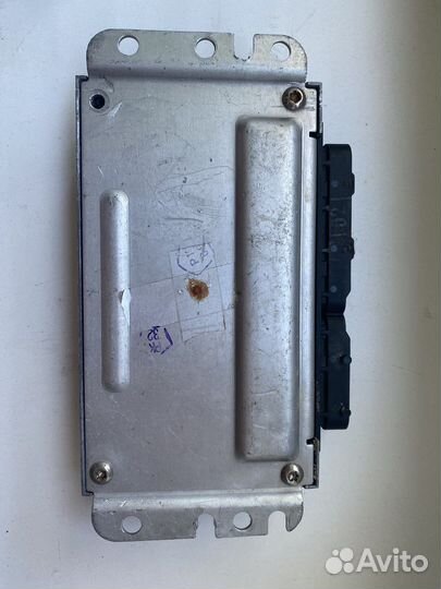 Мозги на калину