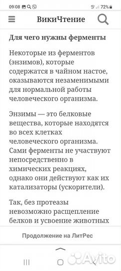Чайный гриб комбуча