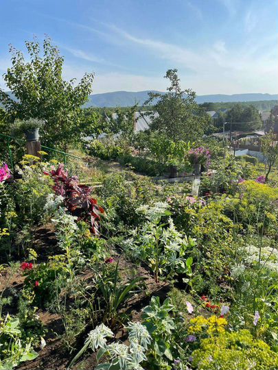 Дом 60 м² на участке 8 сот.