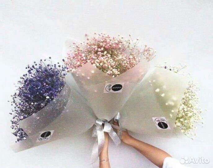 Букет из гипсофилы