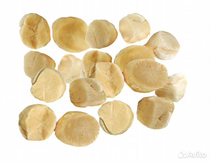 Гребешок приморский 20-30 шт на 1 кг