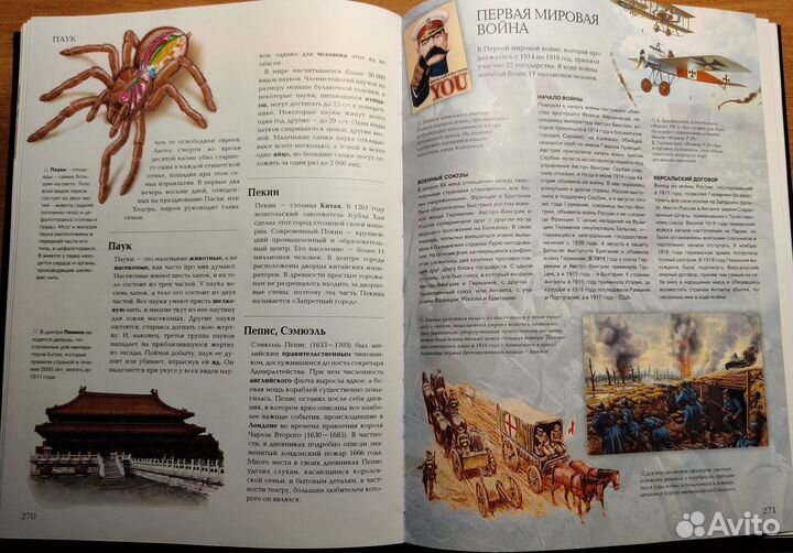 Иллюстрированная энциклопедия интеллекта