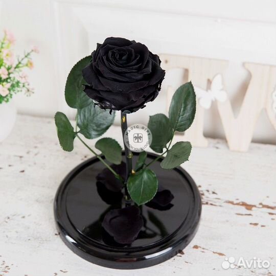Роза в колбе. От производителя