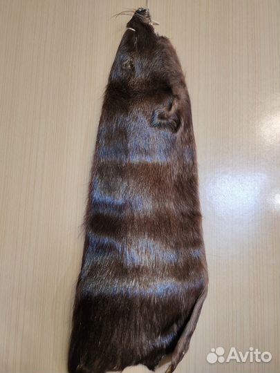 Шкурки нутрии