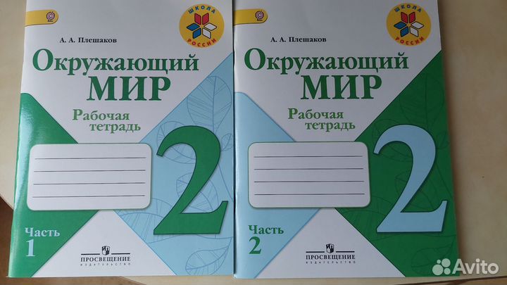 Окружающий мир Рабочая тетрадь 2 класс