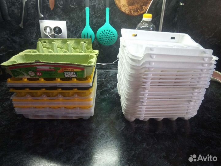 Лотки для яиц