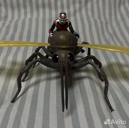 Человек муравей