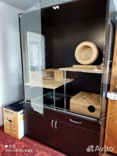 Витрина для шиншилл