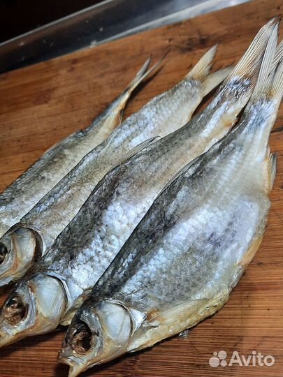 Астраханская вобла