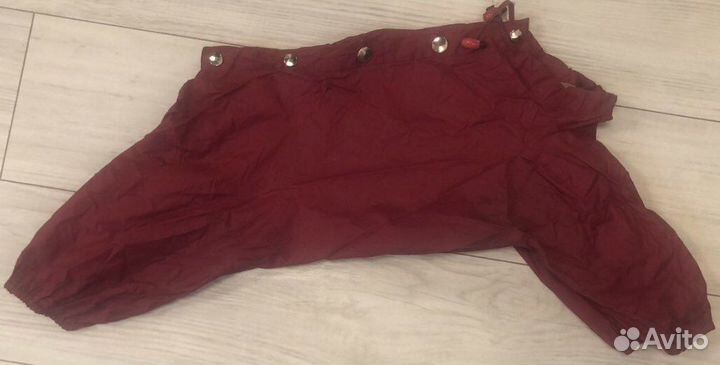 Одежда для средних собак