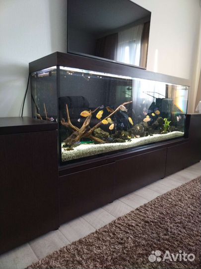 Аквариум с тумбой 500 литров