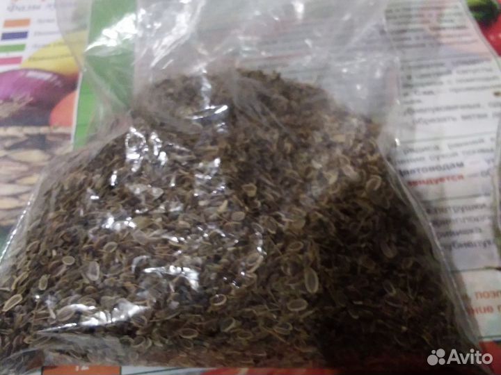 Семена укропа