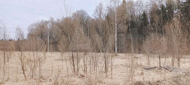 Участок 10 сот. (ИЖС)
