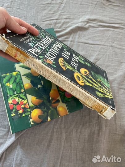 Книги про Растения. Растения, которые нас лечат