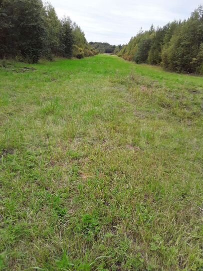 Участок 7,8 га (СНТ, ДНП)