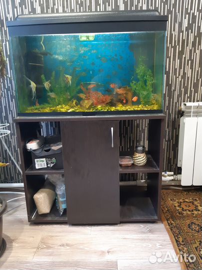 Аквариум