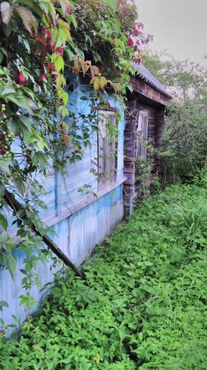 Дом 42 м² на участке 6 сот.