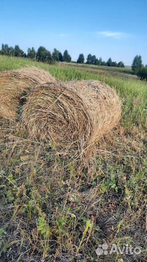 Сено в рулонах луговое