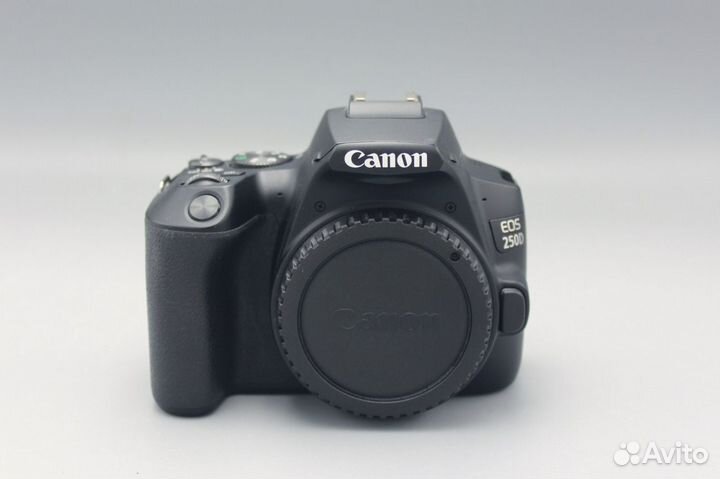 Canon EOS 250D body (Like new)