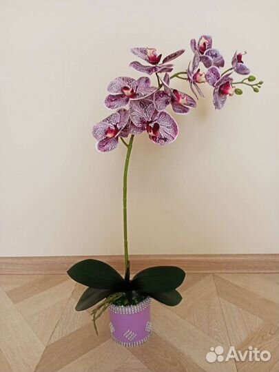 Орхидея латексная