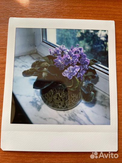 Фотоаппарат fujifilm instax SQ1