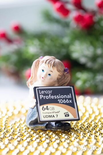 Lexar Compact Flash 64Gb 1066x