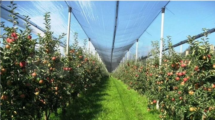 Участок 30 га (СНТ, ДНП)