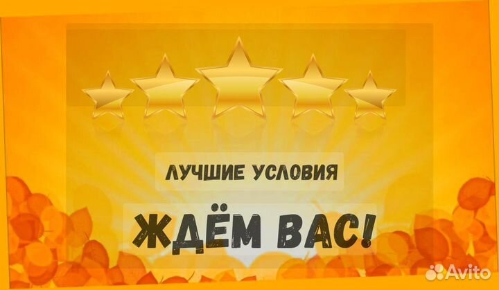 Сборщик заказов Выплаты еженедельно Без опыта М/Ж