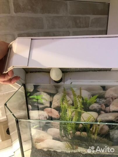 Аквариум