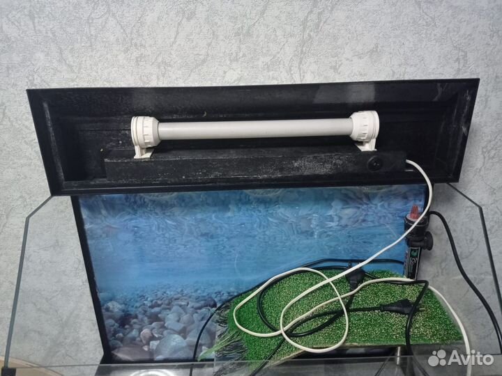 Аквариум для красноухой черепахи