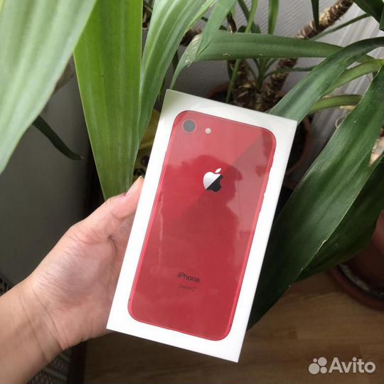 iPhone 8-256 Gb