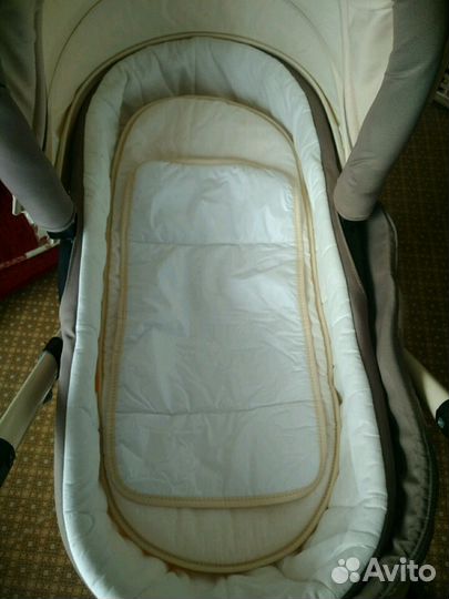 Коляска Adamex Alex