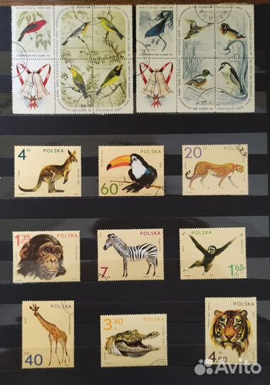 Коллекция марок