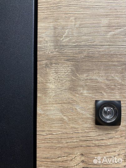 Дверь входная с зеркалом