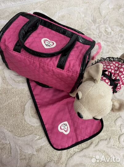 Собачка Чичилав оригинал